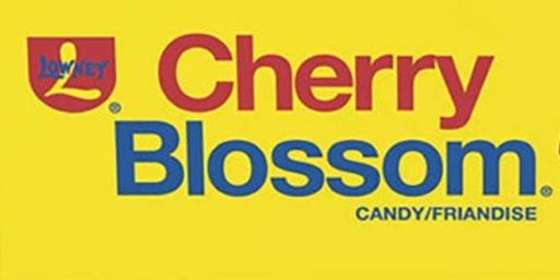 Cherry Blossom
